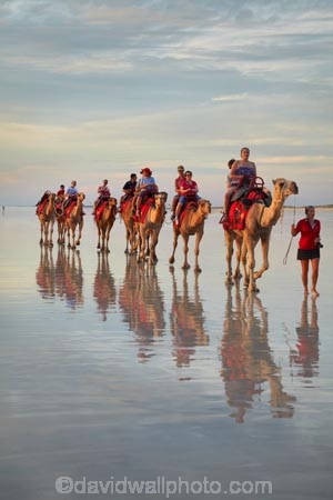 Australasian;Australia;Australian;beach;beaches;Broome;calm;camel;camel-train;camel-trains;camels;coast;coastal;coastline;icon;iconic;icons;Kimberley;Kimberley-Region;last-light;late-light;placid;quiet;reflection;reflections;sand;sandy;serene;shore;shoreline;smooth;still;The-Kimberley;tourism;tourist;tourist-attraction;tourist-attractions;tourists;tranquil;W.A.;WA;water;West-Australia;Western-Australia