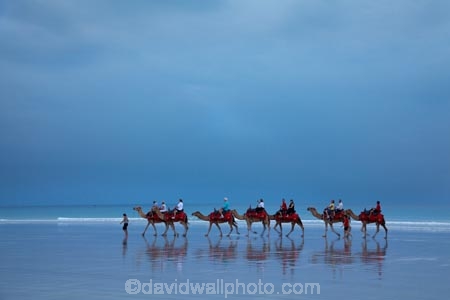 Australasian;Australia;Australian;beach;beaches;black-cloud;black-clouds;Broome;calm;camel;camel-train;camel-trains;camels;cloud;clouds;cloudy;coast;coastal;coastline;dark-cloud;dark-clouds;gray-cloud;gray-clouds;grey-cloud;grey-clouds;Kimberley;Kimberley-Region;placid;quiet;rain-cloud;rain-clouds;rain-storm;rain-storms;reflection;reflections;sand;sandy;serene;shore;shoreline;smooth;still;storm;storms;The-Kimberley;tourism;tourist;tourist-attraction;tourist-attractions;tourists;tranquil;W.A.;WA;water;West-Australia;Western-Australia