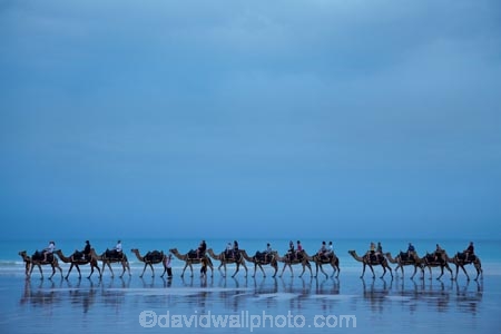 Australasian;Australia;Australian;beach;beaches;black-cloud;black-clouds;Broome;calm;camel;camel-train;camel-trains;camels;cloud;clouds;cloudy;coast;coastal;coastline;dark-cloud;dark-clouds;gray-cloud;gray-clouds;grey-cloud;grey-clouds;Kimberley;Kimberley-Region;placid;quiet;rain-cloud;rain-clouds;rain-storm;rain-storms;reflection;reflections;sand;sandy;serene;shore;shoreline;smooth;still;storm;storms;The-Kimberley;tourism;tourist;tourist-attraction;tourist-attractions;tourists;tranquil;W.A.;WA;water;West-Australia;Western-Australia