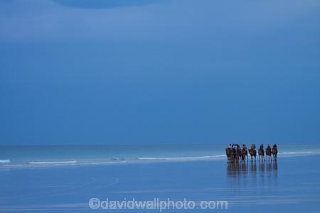Australasian;Australia;Australian;beach;beaches;black-cloud;black-clouds;Broome;Cable-Beach;calm;camel;camel-train;camel-trains;camels;cloud;clouds;cloudy;coast;coastal;coastline;dark-cloud;dark-clouds;gray-cloud;gray-clouds;grey-cloud;grey-clouds;Indian-Ocean;Kimberley;Kimberley-Region;ocean;oceans;placid;quiet;rain-cloud;rain-clouds;rain-storm;rain-storms;reflection;reflections;sand;sandy;sea;seas;serene;shore;shoreline;smooth;still;storm;storms;The-Kimberley;tourism;tourist;tourist-attraction;tourist-attractions;tourists;tranquil;W.A.;WA;water;West-Australia;Western-Australia
