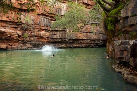 Australasian;Australia;Australian;billabong;billabongs;bluff;bluffs;cliff;cliffs;fun;jump;jumping;Kimberley;Kimberley-Region;people;person;rope-swing;rope-swings;splash;splashing;swim;swimming;swimming-hole;swimming-holes;The-Grotto;The-Kimberley;tourism;tourist;tourists;W.A.;WA;waterhole;waterholes;West-Australia;Western-Australia;Wyndham