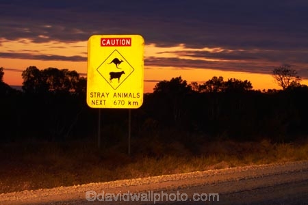 Australasian;Australia;Australian;cow;cows;Gibb-River-Highway;Gibb-River-Rd;Gibb-River-Rd-sign;Gibb-River-Road;Gibb-River-Road-sign;information-sign;information-signs;kangaroo;kangaroos;Kimberley;Kimberley-Region;next-670km;road-sign;road-signs;sign;signs;The-Kimberley;W.A.;WA;warning-sign;warning-signs;West-Australia;Western-Australia