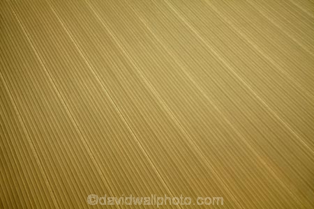 aerial;aerial-photo;aerial-photograph;aerial-photographs;aerial-photography;aerial-photos;aerial-view;aerial-views;aerials;agricultural;agriculture;Australasian;Australia;Australian;country;countryside;crop;crops;East-Kimberley;farm;farming;farmland;farms;field;fields;furrow;furrowed;furrowed-field;furrowed-fields;furrows;horticulture;Kimberley;Kimberley-Region;Kununurra;meadow;meadows;paddock;paddocks;pasture;pastures;pattern;patterns;rural;The-Kimberley;W.A.;WA;West-Australia;Western-Australia