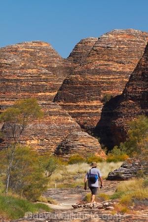 arid;Australasia;Australasian;Australia;Australian;Australian-Outback;back-country;backcountry;backwoods;beehives;Bungle-Bungle;Bungle-Bungle-Range;Bungle-Bungles;country;countryside;female;geographic;geography;geological;geology;hiking-track;hiking-tracks;Kimberley;Kimberley-Region;male;man;men;Outback;people;person;Purnululu-N.P.;Purnululu-National-Park;Purnululu-NP;remote;remoteness;rock;rock-formation;rock-formations;rock-outcrop;rock-outcrops;rocks;rural;The-Kimberley;tourism;tourist;tourists;track;tracks;UN-world-heritage-area;UN-world-heritage-site;UNESCO-World-Heritage-area;UNESCO-World-Heritage-Site;united-nations-world-heritage-area;united-nations-world-heritage-site;W.A.;WA;walking-track;walking-tracks;West-Australia;Western-Australia;wilderness;woman;women;world-heritage;world-heritage-area;world-heritage-areas;World-Heritage-Park;World-Heritage-site;World-Heritage-Sites