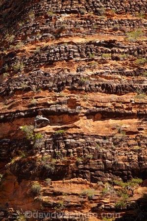 arid;Australasia;Australasian;Australia;Australian;Australian-Outback;back-country;backcountry;backwoods;beehives;box-canyon;box-canyons;Bungle-Bungle;Bungle-Bungle-Range;Bungle-Bungles;Cathedral-Gorge;country;countryside;geographic;geography;geological;geology;Kimberley;Kimberley-Region;layer;layers;Outback;Purnululu-N.P.;Purnululu-National-Park;Purnululu-NP;remote;remoteness;rock;rock-formation;rock-formations;rock-outcrop;rock-outcrops;rocks;rural;Sedementary-layer;Sedementary-layers;The-Kimberley;UN-world-heritage-area;UN-world-heritage-site;UNESCO-World-Heritage-area;UNESCO-World-Heritage-Site;united-nations-world-heritage-area;united-nations-world-heritage-site;W.A.;WA;West-Australia;Western-Australia;wilderness;world-heritage;world-heritage-area;world-heritage-areas;World-Heritage-Park;World-Heritage-site;World-Heritage-Sites