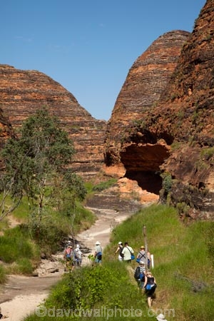 arid;Australasia;Australasian;Australia;Australian;Australian-Outback;back-country;backcountry;backwoods;beehives;box-canyon;box-canyons;Bungle-Bungle;Bungle-Bungle-Range;Bungle-Bungles;canyon;canyons;Cathedral-Gorge;chasm;chasms;country;countryside;female;geographic;geography;geological;geology;gorge;gorges;hiking-track;hiking-tracks;Kimberley;Kimberley-Region;male;man;men;Outback;people;person;Purnululu-N.P.;Purnululu-National-Park;Purnululu-NP;remote;remoteness;rock;rock-formation;rock-formations;rock-outcrop;rock-outcrops;rocks;rural;The-Kimberley;tourism;tourist;tourists;track;tracks;UN-world-heritage-area;UN-world-heritage-site;UNESCO-World-Heritage-area;UNESCO-World-Heritage-Site;united-nations-world-heritage-area;united-nations-world-heritage-site;W.A.;WA;walking-track;walking-tracks;West-Australia;Western-Australia;wilderness;woman;women;world-heritage;world-heritage-area;world-heritage-areas;World-Heritage-Park;World-Heritage-site;World-Heritage-Sites
