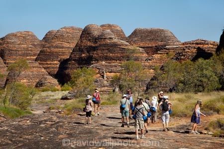 arid;Australasia;Australasian;Australia;Australian;Australian-Outback;back-country;backcountry;backwoods;beehives;Bungle-Bungle;Bungle-Bungle-Range;Bungle-Bungles;Cathedral-Gorge;country;countryside;female;geographic;geography;geological;geology;hiking-track;hiking-tracks;Kimberley;Kimberley-Region;male;man;men;Outback;people;person;Purnululu-N.P.;Purnululu-National-Park;Purnululu-NP;remote;remoteness;rock;rock-formation;rock-formations;rock-outcrop;rock-outcrops;rocks;rural;The-Kimberley;tourism;tourist;tourists;track;tracks;UN-world-heritage-area;UN-world-heritage-site;UNESCO-World-Heritage-area;UNESCO-World-Heritage-Site;united-nations-world-heritage-area;united-nations-world-heritage-site;W.A.;WA;walking-track;walking-tracks;West-Australia;Western-Australia;wilderness;woman;women;world-heritage;world-heritage-area;world-heritage-areas;World-Heritage-Park;World-Heritage-site;World-Heritage-Sites