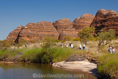 arid;Australasia;Australasian;Australia;Australian;Australian-Outback;back-country;backcountry;backwoods;beehives;Bungle-Bungle;Bungle-Bungle-Range;Bungle-Bungles;Cathedral-Gorge;country;countryside;female;geographic;geography;geological;geology;hiking-track;hiking-tracks;Kimberley;Kimberley-Region;male;man;men;Outback;people;person;Purnululu-N.P.;Purnululu-National-Park;Purnululu-NP;remote;remoteness;rock;rock-formation;rock-formations;rock-outcrop;rock-outcrops;rocks;rural;The-Kimberley;tourism;tourist;tourists;track;tracks;UN-world-heritage-area;UN-world-heritage-site;UNESCO-World-Heritage-area;UNESCO-World-Heritage-Site;united-nations-world-heritage-area;united-nations-world-heritage-site;W.A.;WA;walking-track;walking-tracks;waterhole;waterholes;West-Australia;Western-Australia;wilderness;woman;women;world-heritage;world-heritage-area;world-heritage-areas;World-Heritage-Park;World-Heritage-site;World-Heritage-Sites