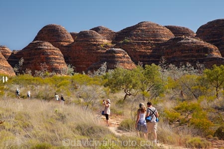 arid;Australasia;Australasian;Australia;Australian;Australian-Outback;back-country;backcountry;backwoods;beehives;Bungle-Bungle;Bungle-Bungle-Range;Bungle-Bungles;country;countryside;female;geographic;geography;geological;geology;hiking-track;hiking-tracks;Kimberley;Kimberley-Region;male;man;men;Outback;people;person;Purnululu-N.P.;Purnululu-National-Park;Purnululu-NP;remote;remoteness;rock;rock-formation;rock-formations;rock-outcrop;rock-outcrops;rocks;rural;The-Kimberley;tourism;tourist;tourists;track;tracks;UN-world-heritage-area;UN-world-heritage-site;UNESCO-World-Heritage-area;UNESCO-World-Heritage-Site;united-nations-world-heritage-area;united-nations-world-heritage-site;W.A.;WA;walking-track;walking-tracks;West-Australia;Western-Australia;wilderness;woman;women;world-heritage;world-heritage-area;world-heritage-areas;World-Heritage-Park;World-Heritage-site;World-Heritage-Sites
