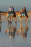 Australasian;Australia;Australian;beach;beaches;Broome;calm;camel;camel-train;camel-trains;camels;coast;coastal;coastline;Kimberley;Kimberley-Region;placid;quiet;reflection;reflections;sand;sandy;serene;shore;shoreline;smooth;still;The-Kimberley;tourism;tourist;tourist-attraction;tourist-attractions;tourists;tranquil;W.A.;WA;water;West-Australia;Western-Australia