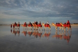Australasian;Australia;Australian;beach;beaches;Broome;calm;camel;camel-train;camel-trains;camels;cloud;clouds;coast;coastal;coastline;icon;iconic;icons;Kimberley;Kimberley-Region;last-light;late-light;placid;quiet;reflection;reflections;sand;sandy;serene;shore;shoreline;smooth;still;The-Kimberley;tourism;tourist;tourist-attraction;tourist-attractions;tourists;tranquil;W.A.;WA;water;West-Australia;Western-Australia