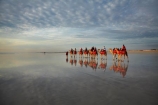 Australasian;Australia;Australian;beach;beaches;Broome;calm;camel;camel-train;camel-trains;camels;cloud;clouds;coast;coastal;coastline;icon;iconic;icons;Kimberley;Kimberley-Region;last-light;late-light;placid;quiet;reflection;reflections;sand;sandy;serene;shore;shoreline;smooth;still;The-Kimberley;tourism;tourist;tourist-attraction;tourist-attractions;tourists;tranquil;W.A.;WA;water;West-Australia;Western-Australia
