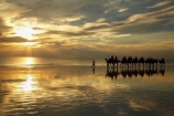 Australasian;Australia;Australian;beach;beaches;Broome;Cable-Beach;calm;camel;camel-train;camel-trains;camels;cloud;clouds;coast;coastal;coastline;dusk;evening;icon;iconic;icons;Kimberley;Kimberley-Region;last-light;late-light;nightfall;orange;placid;quiet;reflection;reflections;sand;sandy;serene;shore;shoreline;silhouette;silhouettes;sky;smooth;still;sunset;sunsets;The-Kimberley;tourism;tourist;tourist-attraction;tourist-attractions;tourists;tranquil;twilight;W.A.;WA;water;West-Australia;Western-Australia