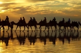 Australasian;Australia;Australian;beach;beaches;Broome;Cable-Beach;calm;camel;camel-train;camel-trains;camels;cloud;clouds;coast;coastal;coastline;dusk;evening;icon;iconic;icons;Kimberley;Kimberley-Region;last-light;late-light;nightfall;orange;placid;quiet;reflection;reflections;sand;sandy;serene;shore;shoreline;silhouette;silhouettes;sky;smooth;still;sunset;sunsets;The-Kimberley;tourism;tourist;tourist-attraction;tourist-attractions;tourists;tranquil;twilight;W.A.;WA;water;West-Australia;Western-Australia