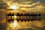 Australasian;Australia;Australian;beach;beaches;Broome;Cable-Beach;calm;camel;camel-train;camel-trains;camels;cloud;clouds;coast;coastal;coastline;dusk;evening;icon;iconic;icons;Kimberley;Kimberley-Region;last-light;late-light;nightfall;orange;placid;quiet;reflection;reflections;sand;sandy;serene;shore;shoreline;silhouette;silhouettes;sky;smooth;still;sunset;sunsets;The-Kimberley;tourism;tourist;tourist-attraction;tourist-attractions;tourists;tranquil;twilight;W.A.;WA;water;West-Australia;Western-Australia