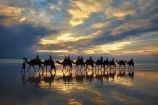 Australasian;Australia;Australian;beach;beaches;Broome;Cable-Beach;calm;camel;camel-train;camel-trains;camels;cloud;clouds;coast;coastal;coastline;dusk;evening;icon;iconic;icons;Kimberley;Kimberley-Region;last-light;late-light;nightfall;orange;placid;quiet;reflection;reflections;sand;sandy;serene;shore;shoreline;silhouette;silhouettes;sky;smooth;still;sunset;sunsets;The-Kimberley;tourism;tourist;tourist-attraction;tourist-attractions;tourists;tranquil;twilight;W.A.;WA;water;West-Australia;Western-Australia