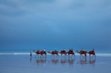 Australasian;Australia;Australian;beach;beaches;black-cloud;black-clouds;Broome;calm;camel;camel-train;camel-trains;camels;cloud;clouds;cloudy;coast;coastal;coastline;dark-cloud;dark-clouds;gray-cloud;gray-clouds;grey-cloud;grey-clouds;Kimberley;Kimberley-Region;placid;quiet;rain-cloud;rain-clouds;rain-storm;rain-storms;reflection;reflections;sand;sandy;serene;shore;shoreline;smooth;still;storm;storms;The-Kimberley;tourism;tourist;tourist-attraction;tourist-attractions;tourists;tranquil;W.A.;WA;water;West-Australia;Western-Australia