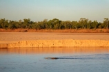 Australasian;Australia;Australian;Fitzroy-Crossing;Fitzroy-River;Kimberley;Kimberley-Region;river;sand-bank;sand-banks;The-Kimberley;W.A.;WA;West-Australia;Western-Australia