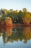 Australasian;Australia;Australian;causeway;crossing;crossing-point;Fitzroy-Crossing;Fitzroy-River;Kimberley;Kimberley-Region;river;The-Kimberley;W.A.;WA;West-Australia;Western-Australia