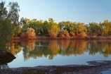 Australasian;Australia;Australian;causeway;crossing;crossing-point;Fitzroy-Crossing;Fitzroy-River;Kimberley;Kimberley-Region;river;The-Kimberley;W.A.;WA;West-Australia;Western-Australia
