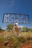 arid;Australasia;Australasian;Australia;Australian;Australian-Outback;back-country;backcountry;backwoods;cattle-station;cattle-stations;country;countryside;geographic;geography;Kimberley;Kimberley-Region;Mabel-Downs-Station;Mabel-Downs-Station-sign;Outback;outback-station;outback-stations;remote;remoteness;rural;Sign;Signs;The-Kimberley;W.A.;WA;West-Australia;Western-Australia;wilderness