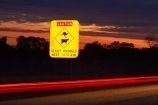 Australasian;Australia;Australian;car;car-lights;cars;cow;cows;dark;evening;Gibb-River-Highway;Gibb-River-Rd;Gibb-River-Rd-sign;Gibb-River-Road;Gibb-River-Road-sign;information-sign;information-signs;kangaroo;kangaroos;Kimberley;Kimberley-Region;light;light-trails;lights;long-exposure;next-670km;night;night-time;night_time;road-sign;road-signs;sign;signs;tail-light;tail-lights;tail_light;tail_lights;The-Kimberley;time-exposure;time-exposures;time_exposure;traffic;W.A.;WA;warning-sign;warning-signs;West-Australia;Western-Australia