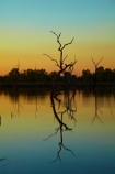 Australasian;Australia;Australian;break-of-day;calm;dawn;dawning;daybreak;dead-tree;dead-trees;drowned-trees;drwoned-tree;dusk;evening;first-light;Kimberley;Kimberley-Region;Kununurra;lagoon;lagoons;lake;Lake-Kununurra;lakes;Lily-Creek-Lagoon;Lily-Lagoon;morning;nightfall;orange;placid;quiet;reflection;reflections;serene;sky;smooth;still;sunrise;sunrises;sunset;sunsets;sunup;The-Kimberley;tranquil;twilight;W.A.;WA;water;West-Australia;Western-Australia