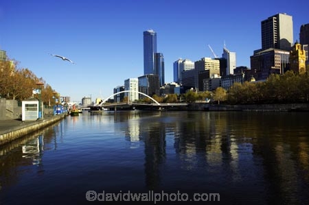 australasian;Australia;australian;autumn;bird;birds;c.b.d.;cbd;central-business-district;cities;city;cityscape;cityscapes;fall;high-rise;high-rises;high_rise;high_rises;highrise;highrises;Melbourne;multi_storey;multi_storied;multistorey;multistoried;observation-deck;office;office-block;office-blocks;offices;reflection;reflections;rialto-tower;rialto-towers;river;rivers;seagull;seagulls;sky-scraper;sky-scrapers;sky_scraper;sky_scrapers;skyscraper;skyscrapers;southbank;southbank-prominade;southgate;tower-block;tower-blocks;Victoria;Yarra-River