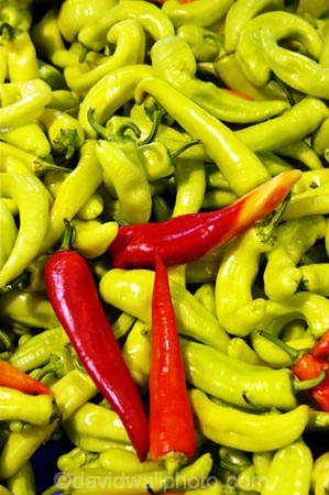 australasian;Australia;australian;chili;chilies;chilli;chilli-pepper;chilli-peppers;chillies;colorful;colourful;commerce;commercial;food;food-market;food-markets;food-stall;food-stalls;hot;hot-pepper;hot-peppers;market;market-place;market_place;marketplace;markets;Melbourne;produce;produce-market;produce-markets;product;products;Queen-Victoria-Market;red;retail;retailer;retailers;shop;shopping;shops;spicy;stall;stalls;steet-scene;street-scenes;Victoria;yellow-chili;yellow-chilies;yellow-chilli;yellow-chillies