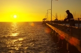 australasian;Australia;australian;coast;coastal;coastline;fisher;fisherman;fishermen;fisherwoman;fishing;fishing-rod;fishing-rods;jetties;jetty;leisure;mast;masts;Melbourne;Middle-Brighton-Pier;ocean;oceans;pastime;pier;piers;port-phillip-bay;recreation;recreational;relaxing;sea;shore;shoreline;sport;sundown;sunset;sunsets;Victoria;waterfront;waterside;wharf;wharfes;wharves