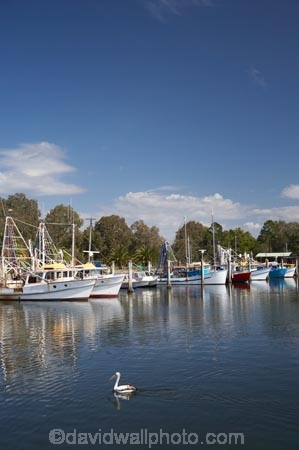 Australasian;Australia;Australian;boat;Boat-Harbor;Boat-Harbors;Boat-Harbour;Boat-Harbours;boats;commercial-fishing-boats;Evans-Head;fishing-boat;fishing-boats;harbor;harbors;harbour;harbours;hull;hulls;marina;marinas;N.S.W.;New-South-Wales;NSW;pelican;pelicans;port;ports;tranquil;tranquility