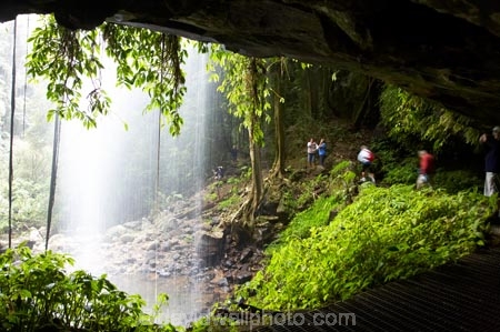 Australasian;Australia;Australian;cascade;cascades;Central-Eastern-Rainforest-Reserves;creek;creeks;Crystal-Falls;Crystal-Shower-falls;Dorrigo-N.P.;Dorrigo-National-Park;Dorrigo-NP;Dorrigo-Rainforest;eco-tourism;eco_tourism;ecotourism;falls;forest;forests;Gondwana-Rainforests-of-Australia;green;lush;Mid-North-Coast;Mid-North-Coast-NSW;Mid-North-Nsw;Mid-Northern-NSW;N.S.W.;natural;nature;New-South-Wales;NSW;overhang;people;person;rainforest;rainforests;scene;scenic;stream;streams;tourist;tourists;verdant;water;water-fall;water-falls;waterfall;Waterfall-Way;waterfalls;wet;Wonga-Walk;World-Heritage-Site