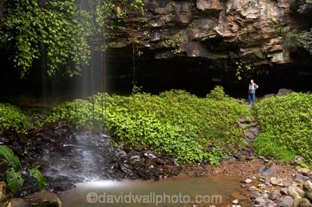 Australasian;Australia;Australian;cascade;cascades;Central-Eastern-Rainforest-Reserves;creek;creeks;Crystal-Falls;Crystal-Shower-falls;Dorrigo-N.P.;Dorrigo-National-Park;Dorrigo-NP;Dorrigo-Rainforest;eco-tourism;eco_tourism;ecotourism;falls;forest;forests;Gondwana-Rainforests-of-Australia;green;lush;Mid-North-Coast;Mid-North-Coast-NSW;Mid-North-Nsw;Mid-Northern-NSW;N.S.W.;natural;nature;New-South-Wales;NSW;overhang;people;person;rainforest;rainforests;scene;scenic;stream;streams;tourist;tourists;verdant;water;water-fall;water-falls;waterfall;Waterfall-Way;waterfalls;wet;Wonga-Walk;World-Heritage-Site