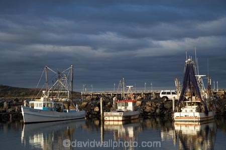 approaching-storm;Australasian;Australia;Australian;black-cloud;black-clouds;boat;boats;calm;calmness;cloud;cloudy;coast;coastal;coastline;coastlines;coasts;Coffs-Harbor;Coffs-Harbour;Coffs-Harbor;Coffs-Harbour;Coffs-Harbour-Marina;commercial-fishing-boat;commercial-fishing-boats;commercial-fishing-fleet;dark-cloud;dark-clouds;fishing-boat;fishing-boats;grey-cloud;grey-clouds;harbor;harbors;harbour;harbours;hull;hulls;launch;launches;marina;marinas;Mid-North-Coast;Mid-North-Coast-NSW;Mid-North-Nsw;Mid-Northern-NSW;N.S.W.;New-South-Wales;NSW;ocean;oceans;peaceful;peacefulness;port;ports;rain-cloud;rain-clouds;reflection;reflections;sea;shore;shoreline;shorelines;shores;still;stillness;storm;storm-clouds;storms;stormy;tranquil;tranquility