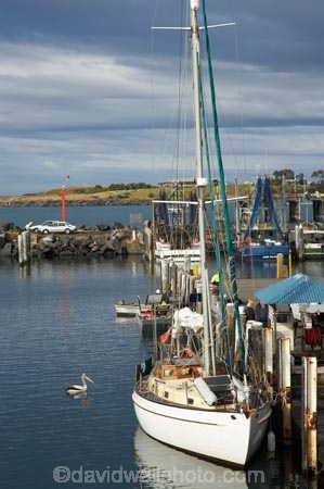 Australasian;Australia;Australian;boat;boats;calm;calmness;coast;coastal;coastline;coastlines;coasts;Coffs-Harbor;Coffs-Harbour;Coffs-Harbor;Coffs-Harbour;Coffs-Harbour-Marina;fishing-boats;harbor;harbors;harbour;harbours;hull;hulls;launch;launches;marina;marinas;mast;masts;Mid-North-Coast;Mid-North-Coast-NSW;Mid-North-Nsw;Mid-Northern-NSW;N.S.W.;New-South-Wales;NSW;ocean;oceans;peaceful;peacefulness;port;ports;sail;sailing;sea;shore;shoreline;shorelines;shores;still;stillness;tranquil;tranquility;yacht;yachts