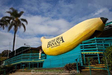 australasia;Australasian;Australia;australian;banana;bananas;big;Big-Banana;big-fruit;Coffs-Harbor;Coffs-Harbour;Coffs-Harbor;Coffs-Harbour;fruit;fruits;giant;huge;icon;icons;Mid-North-Coast;Mid-North-Coast-NSW;Mid-North-Nsw;Mid-Northern-NSW;N.S.W.;New-South-Wales;NSW;tacky;The-Big-Banana;tropical