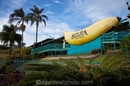 australasia;Australasian;Australia;australian;banana;bananas;big;Big-Banana;big-fruit;Coffs-Harbor;Coffs-Harbour;Coffs-Harbor;Coffs-Harbour;fruit;fruits;giant;huge;icon;icons;Mid-North-Coast;Mid-North-Coast-NSW;Mid-North-Nsw;Mid-Northern-NSW;N.S.W.;New-South-Wales;NSW;tacky;The-Big-Banana;tropical