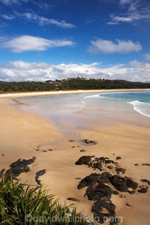Australasian;Australia;Australian;bay;bays;Beach;beaches;coast;coastal;coastline;Mid-North-Coast;Mid-North-Coast-NSW;Mid-North-Nsw;Mid-Northern-NSW;N.S.W.;New-South-Wales;NSW;ocean;oceans;sand;sandy;Scotts-Head;Scotts-Head;sea;seas;shore;shoreline;surf;wave;waves