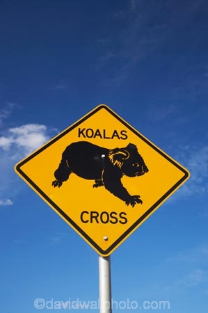 australasia;Australasian;Australia;australian;blue;Koala;Koala-Cross;Koala-Crossing;Koala-Crossing-Sign;Koala-Warning-Sign;koalas;Mid-North-Coast;Mid-North-Coast-NSW;Mid-North-Nsw;Mid-Northern-NSW;N.S.W.;natural;nature;New-South-Wales;NSW;Road;road-sign;road-signs;road_sign;road_signs;roads;roadsign;roadsigns;sign;signs;symbol;symbols;tranportation;transport;travel;warn;Wingham;yellow