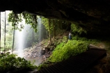 Australasian;Australia;Australian;cascade;cascades;Central-Eastern-Rainforest-Reserves;creek;creeks;Crystal-Falls;Crystal-Shower-falls;Dorrigo-N.P.;Dorrigo-National-Park;Dorrigo-NP;Dorrigo-Rainforest;eco-tourism;eco_tourism;ecotourism;falls;forest;forests;Gondwana-Rainforests-of-Australia;green;lush;Mid-North-Coast;Mid-North-Coast-NSW;Mid-North-Nsw;Mid-Northern-NSW;N.S.W.;natural;nature;New-South-Wales;NSW;overhang;people;person;rainforest;rainforests;scene;scenic;stream;streams;tourist;tourists;verdant;water;water-fall;water-falls;waterfall;Waterfall-Way;waterfalls;wet;Wonga-Walk;World-Heritage-Site