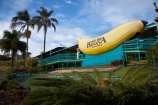 australasia;Australasian;Australia;australian;banana;bananas;big;Big-Banana;big-fruit;Coffs-Harbor;Coffs-Harbour;Coffs-Harbor;Coffs-Harbour;fruit;fruits;giant;huge;icon;icons;Mid-North-Coast;Mid-North-Coast-NSW;Mid-North-Nsw;Mid-Northern-NSW;N.S.W.;New-South-Wales;NSW;tacky;The-Big-Banana;tropical