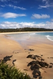 Australasian;Australia;Australian;bay;bays;Beach;beaches;coast;coastal;coastline;Mid-North-Coast;Mid-North-Coast-NSW;Mid-North-Nsw;Mid-Northern-NSW;N.S.W.;New-South-Wales;NSW;ocean;oceans;sand;sandy;Scotts-Head;Scotts-Head;sea;seas;shore;shoreline;surf;wave;waves