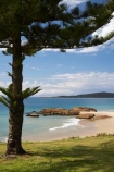Australasian;Australia;Australian;beach;beaches;coast;coastal;coastline;Mid-North-Coast;Mid-North-Coast-NSW;Mid-North-Nsw;Mid-Northern-NSW;N.S.W.;New-South-Wales;NSW;ocean;oceans;sand;sandy;sea;seas;shore;shoreline;South-West-Rocks;Tasman-Sea