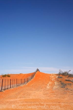 Australasia;Australia;Australian;Australian-Desert;Australian-Deserts;Australian-Outback;border;borders;Camerons-Corner;Camerons-Corner;Corner-Country;dingo-fence;dingo-proof-fence;dingo_proof-fence;dog-fence;dog-proof-fence;dog_proof-fence;fence;fence-line;fence-lines;fence_line;fence_lines;fenceline;fencelines;fences;longest-fence;longest-fence-in-the-world;N.S.W.;national-park;national-parks;New-South-Wales;NSW;Outback;Queensland;rabbit-fence;rabbit-proof-fence;rabbit_proof-fence;state-border;state-borders;Sturt-N.P.;Sturt-National-Park;Sturt-NP;wild-dog-fence;worlds-longest-fence