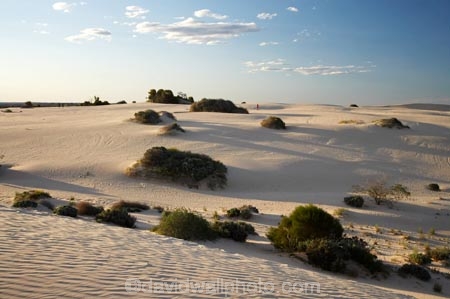 alone;arid;Australasia;Australia;Australian;Australian-Desert;Australian-Deserts;Australian-Outback;back-country;backcountry;backwoods;country;countryside;desert;deserts;dry;dune;dunes;geographic;geography;Mungo-N.P.;Mungo-National-Park;Mungo-NP;N.S.W.;New-South-Wales;NSW;outback;person;prints;red-centre;remote;remoteness;ripple;ripples;rural;sand;sand-dune;sand-dunes;sand-hill;sand-hills;sand-ripple;sand-ripples;sand_dune;sand_dunes;sand_hill;sand_hills;sanddune;sanddunes;sandhill;sandhills;sandy;solitary;tourism;tourist;tourists;walker;walking;wilderness;wind-ripple;wind-ripples