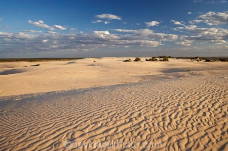 arid;Australasia;Australia;Australian;Australian-Desert;Australian-Deserts;Australian-Outback;back-country;backcountry;backwoods;country;countryside;desert;deserts;dry;dune;dunes;geographic;geography;lizard-print;lizard-prints;lizard-track;lizard-tracks;Mungo-N.P.;Mungo-National-Park;Mungo-NP;N.S.W.;New-South-Wales;NSW;outback;prints;red-centre;remote;remoteness;ripple;ripples;rural;sand;sand-dune;sand-dunes;sand-hill;sand-hills;sand-ripple;sand-ripples;sand_dune;sand_dunes;sand_hill;sand_hills;sanddune;sanddunes;sandhill;sandhills;sandy;wilderness;wind-ripple;wind-ripples