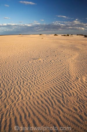 arid;Australasia;Australia;Australian;Australian-Desert;Australian-Deserts;Australian-Outback;back-country;backcountry;backwoods;country;countryside;desert;deserts;dry;dune;dunes;geographic;geography;Mungo-N.P.;Mungo-National-Park;Mungo-NP;N.S.W.;New-South-Wales;NSW;outback;prints;red-centre;remote;remoteness;ripple;ripples;rural;sand;sand-dune;sand-dunes;sand-hill;sand-hills;sand-ripple;sand-ripples;sand_dune;sand_dunes;sand_hill;sand_hills;sanddune;sanddunes;sandhill;sandhills;sandy;wilderness;wind-ripple;wind-ripples