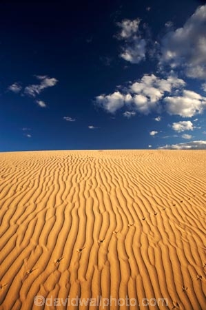 arid;Australasia;Australia;Australian;Australian-Desert;Australian-Deserts;Australian-Outback;back-country;backcountry;backwoods;country;countryside;desert;deserts;dry;dune;dunes;geographic;geography;lizard-print;lizard-prints;lizard-track;lizard-tracks;Mungo-N.P.;Mungo-National-Park;Mungo-NP;N.S.W.;New-South-Wales;NSW;outback;prints;red-centre;remote;remoteness;ripple;ripples;rock;rural;sand;sand-dune;sand-dunes;sand-hill;sand-hills;sand-ripple;sand-ripples;sand_dune;sand_dunes;sand_hill;sand_hills;sanddune;sanddunes;sandhill;sandhills;sandy;tracks;wilderness;wind-ripple;wind-ripples