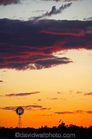 agricultural;agriculture;arid;Australasia;Australasian;Australia;Australian;Australian-Desert;Australian-Deserts;Australian-Outback;back-country;backcountry;backwoods;bore-pump;bore-pumps;borepump;borepumps;country;countryside;desert;Deserts;dry;dusk;dusty;evening;farm;farming;farmland;farms;geography;Mungo-N.P.;Mungo-National-Park;Mungo-NP;N.S.W.;New-South-Wales;night;night-time;nightfall;NSW;orange;outback;red-centre;remote;remoteness;rural;sand;silhouette;silhouettes;sky;sun;sunset;sunsets;twilight;wilderness;wind;wind-mill;wind-mills;wind_mill;wind_mills;windmill;windmills;windy