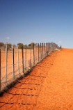 Australasia;Australia;Australian;Australian-Desert;Australian-Deserts;Australian-Outback;border;borders;Camerons-Corner;Camerons-Corner;Corner-Country;dingo-fence;dingo-proof-fence;dingo_proof-fence;dog-fence;dog-proof-fence;dog_proof-fence;fence;fence-line;fence-lines;fence_line;fence_lines;fenceline;fencelines;fences;longest-fence;longest-fence-in-the-world;N.S.W.;national-park;national-parks;New-South-Wales;NSW;Outback;Queensland;rabbit-fence;rabbit-proof-fence;rabbit_proof-fence;state-border;state-borders;Sturt-N.P.;Sturt-National-Park;Sturt-NP;wild-dog-fence;worlds-longest-fence